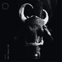 Bull cover art