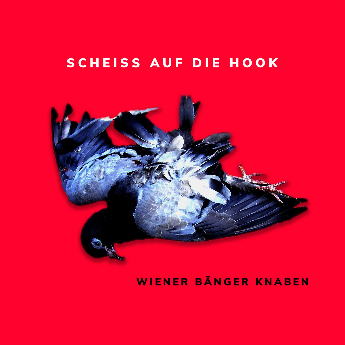 SCHEISS AUF DIE HOOK | Wiener Bänger Knaben