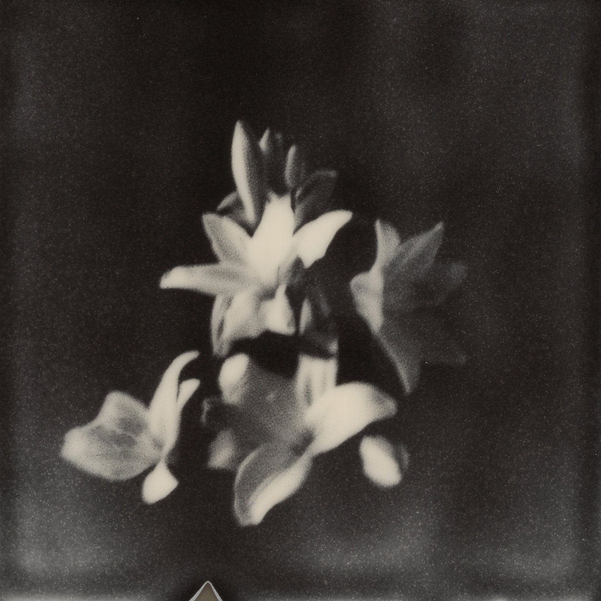 Treasure Self Love | Lila Iké | Ineffable Records