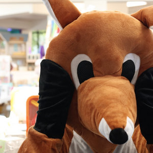 KANGAROO cover