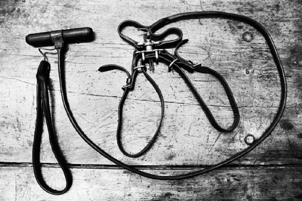 【追跡あり/匿名配送】Cremation Ritual 4枚 村の儀式 (Village Rites) · Strixhaven Mystical Archive (STA