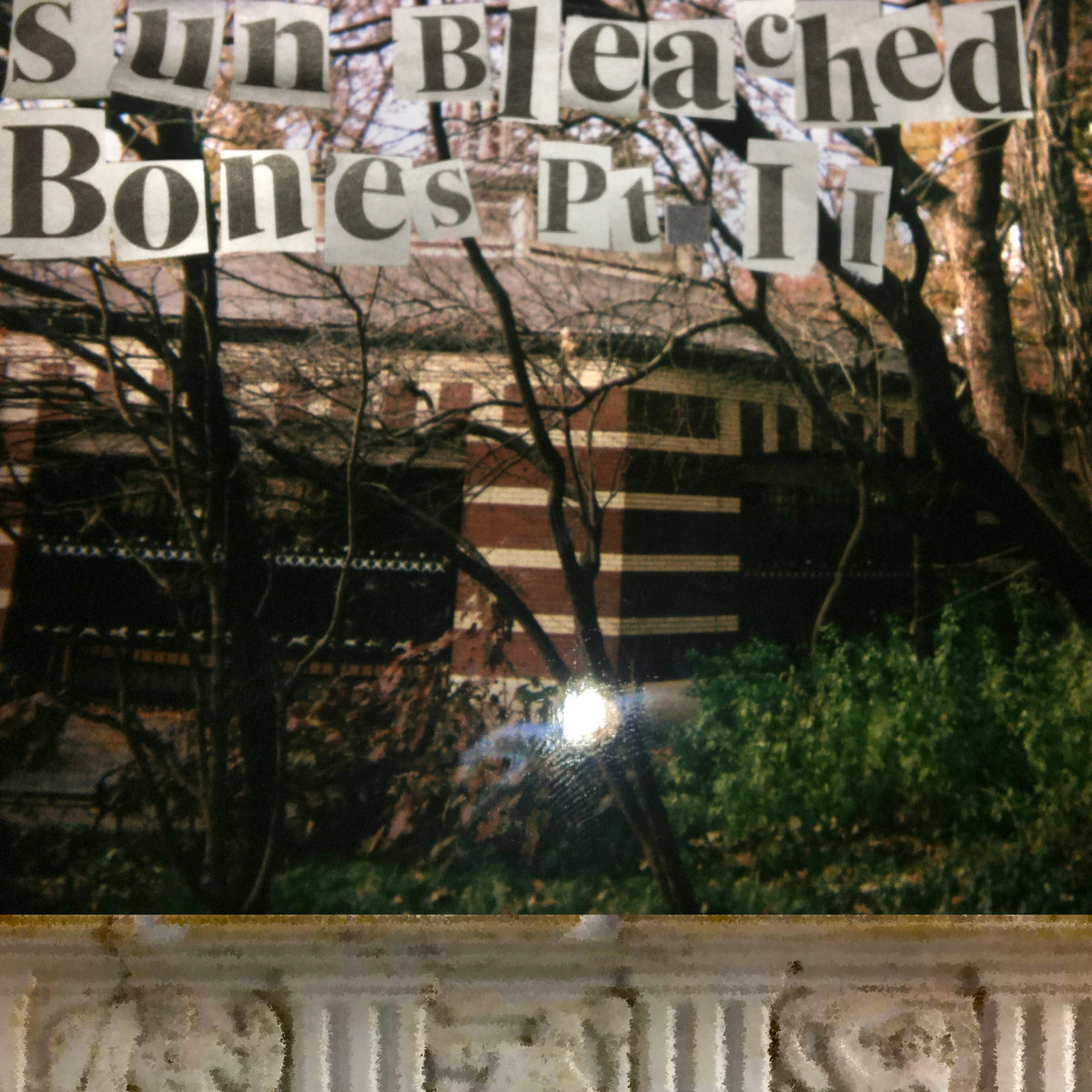 Sun Bleached Bones Pt. II cover