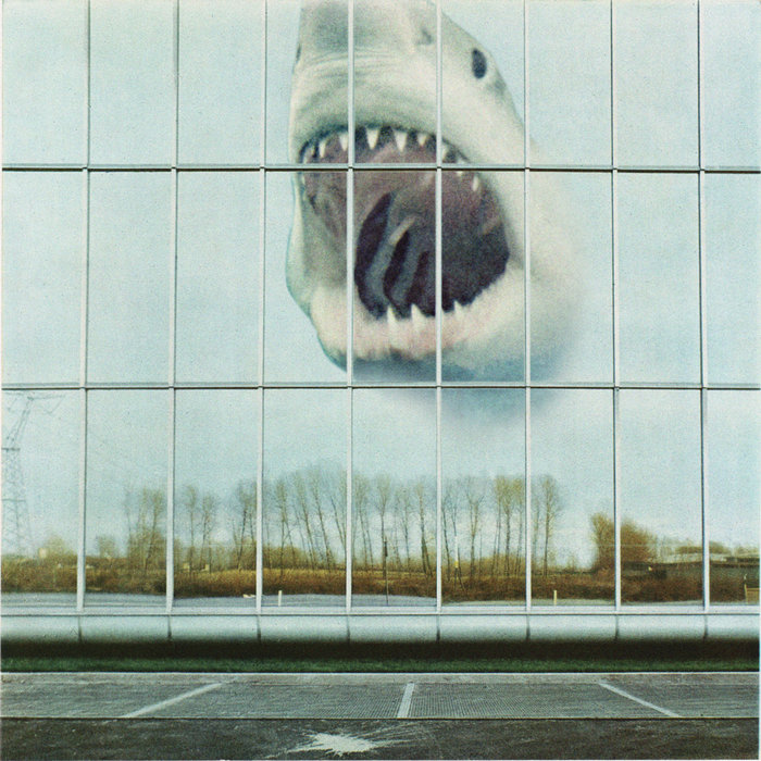 Old Fangs, by Black Mountain