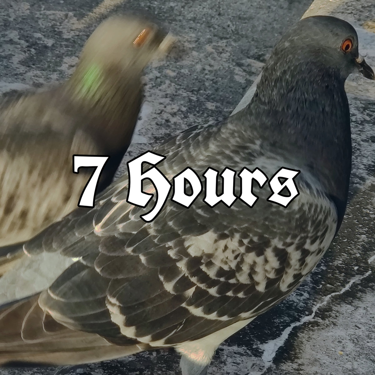 7 Hours cover