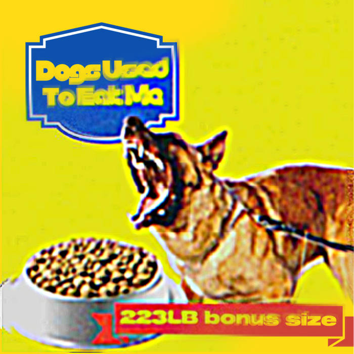 未使用 DJ Iz Dog - Hip Hop Meets House /12\" 🎧 CATZ 'N DOGZ :: SNOWFEST LIVE SESSION :: FULL PERFOMANCE :: DJ