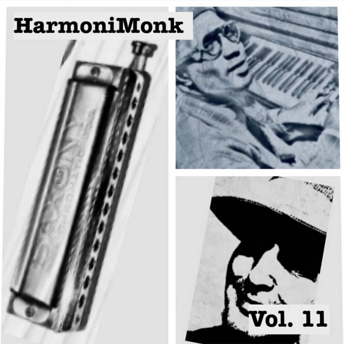 Does The Sound Of A Harmonica Hurt A Dogs Ears