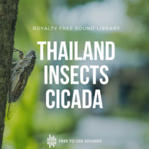 Free Insects Sound Effects | Cicadas cover art