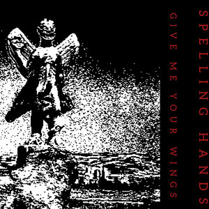 GIVE ME YOUR WINGS cover