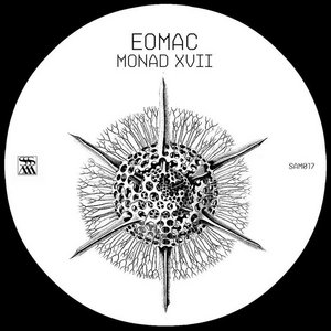 Monad XVII cover