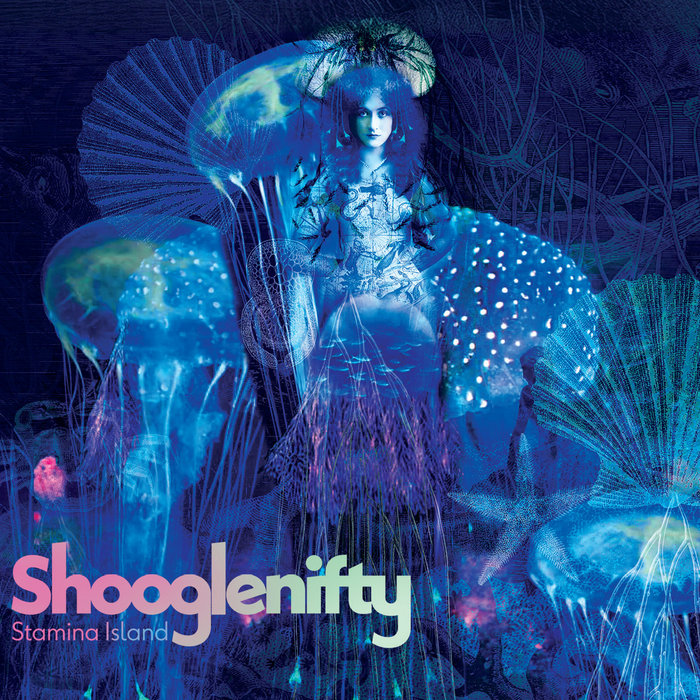 Pochette de Stamina Island par Shooglenifty