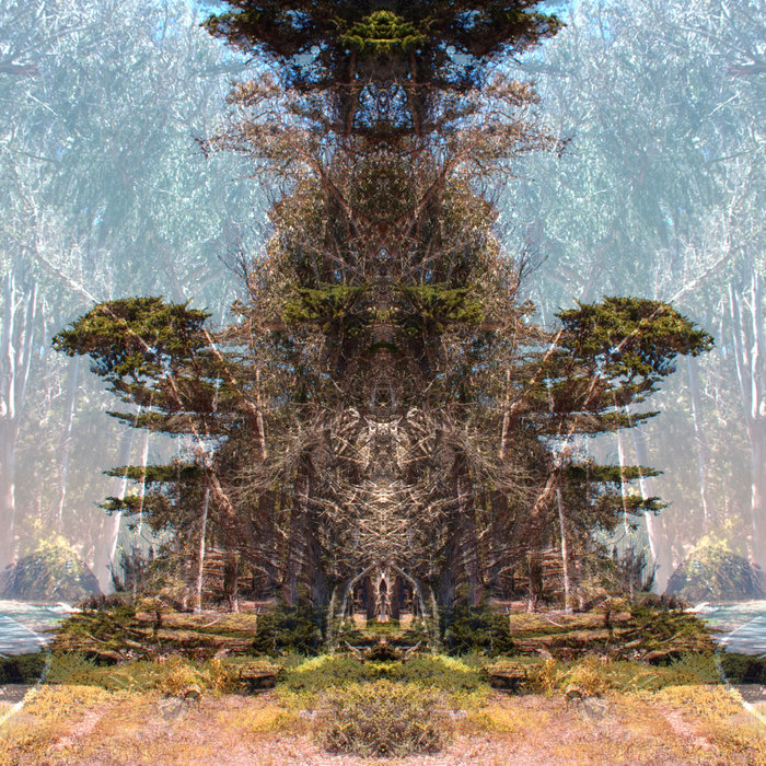 Triple Heart Chamber and Dancing Mechanical Tree | tree // nature ...