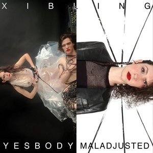 Yesbody / Maladjusted Split LP from Young and Cold Records cover