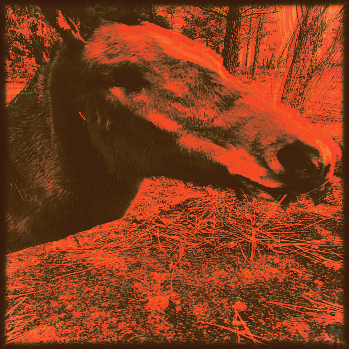 Dagda cover