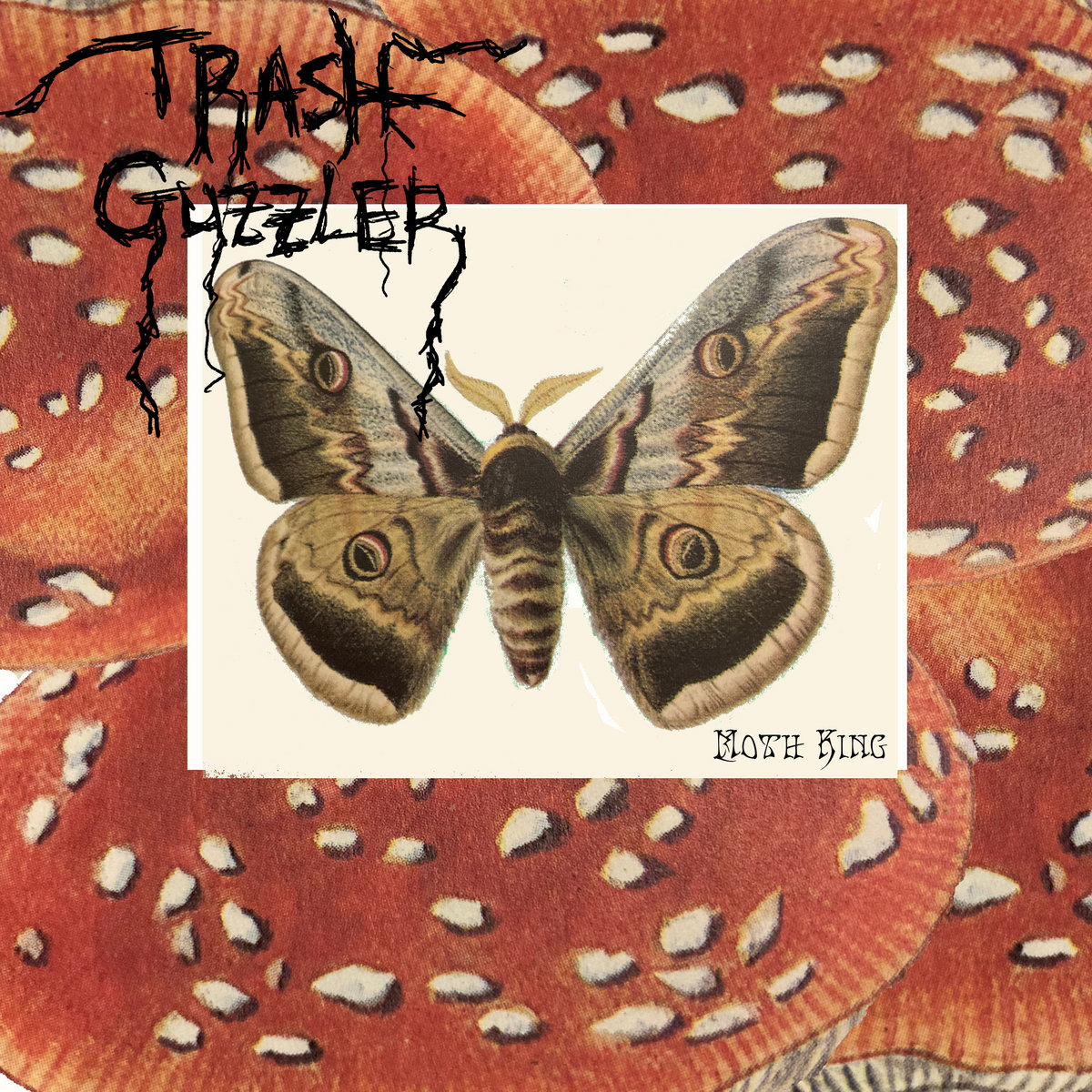 Moth King EP cover