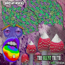 The Blunt Truth: A Joint Operation cover art