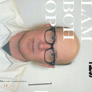 Lambchop — This (is what I wanted to tell you)