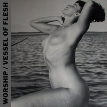 SPLIT / Vessel Of Flesh cover art
