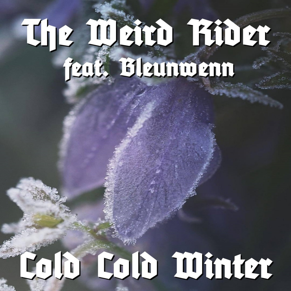 Cold Cold Winter | The Weird Rider feat. Bleunwenn | The Weird Rider