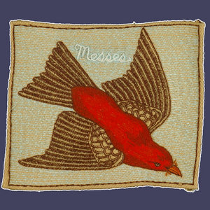 Messes - Demo cover