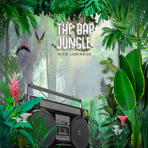 The Bap Jungle cover