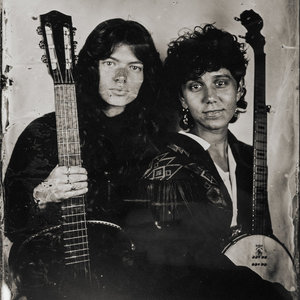 HoneysuckleOlive Klug & wasp eater cover