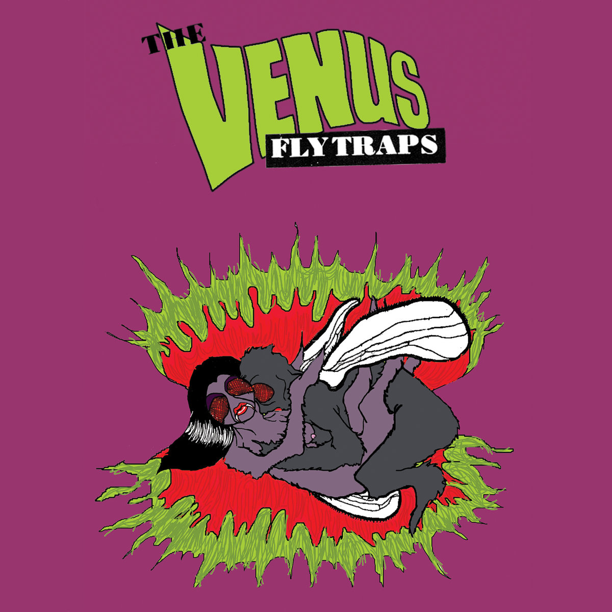 Venus①3冊 Clamp Down | The Venus Flytraps | Quality Time Records