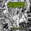 Chapters of Decay