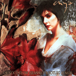 Enya - Orinoco Flow (Seanni B Bootleg Remix) cover