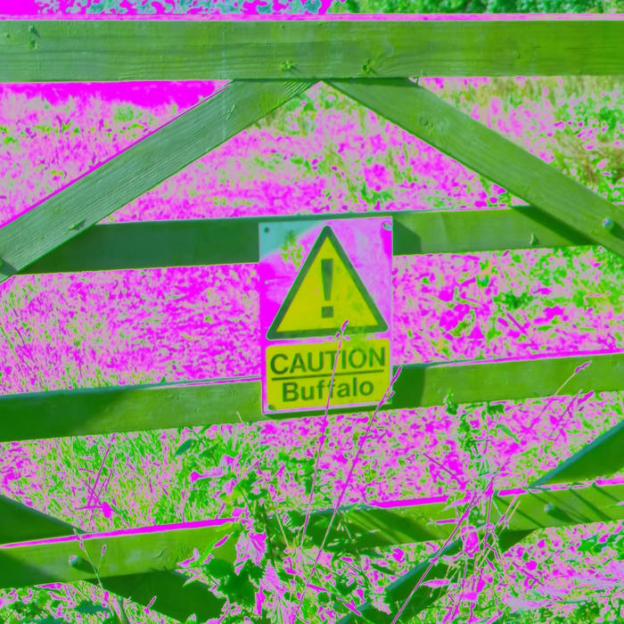 Chasm McSpasm – Caution Buffalo