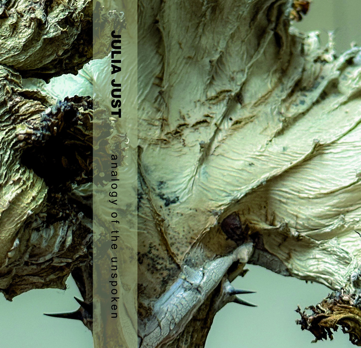 within shared silence