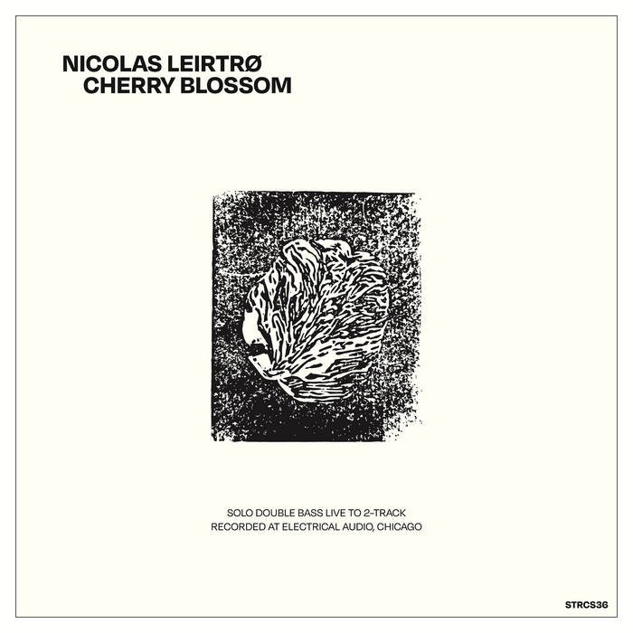 Cherry Blossom | Nicolas Leirtrø | Sonic Transmissions Records