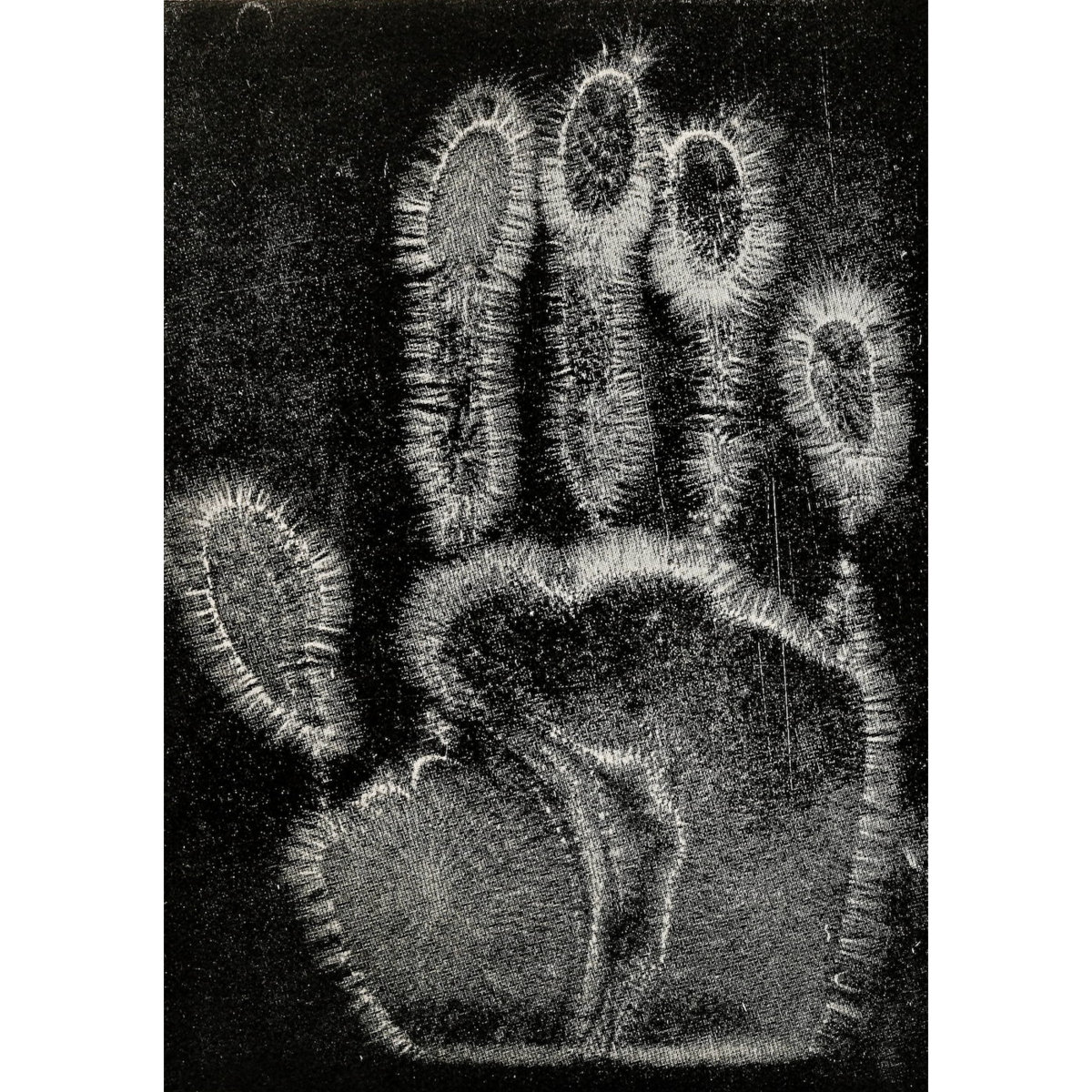 Dark Room cover