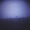 Once We Were (Fragments of 2011-2017)