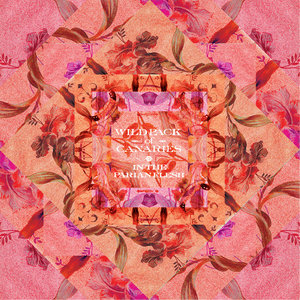 In The Parian Flesh cover