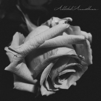 ATA (Demo) | Addicted To Anaesthesia