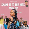 SHAKE IT TO THE MAX MEGA MIX - MOLIY, SEAN PAUL, RDX, TOK  Remixed By dj Cris Cross