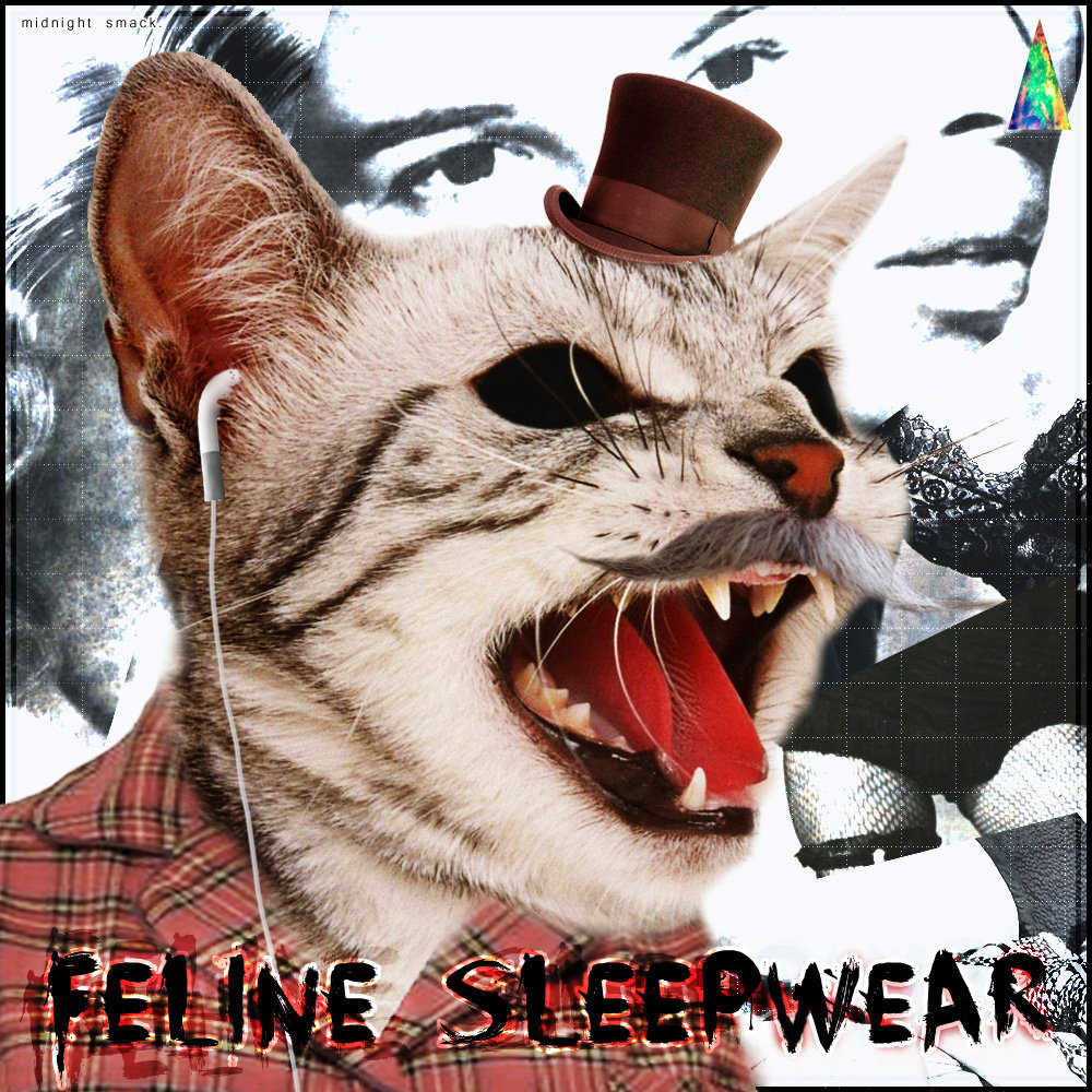 Feline Sleepwear