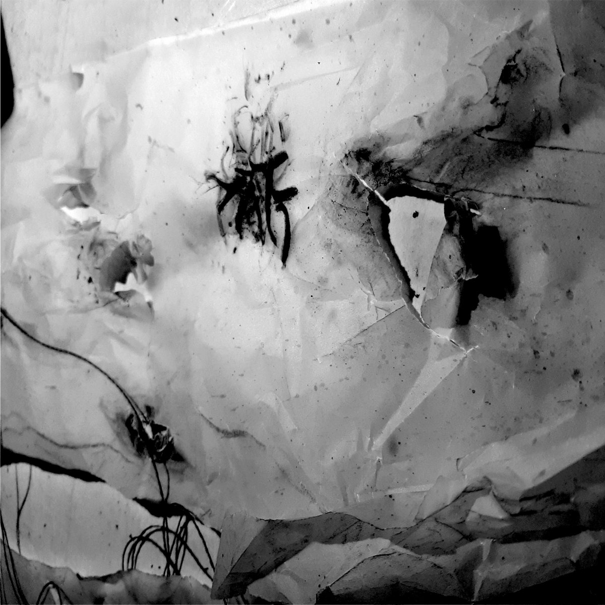 voice of no(i)sense – Basszikaden