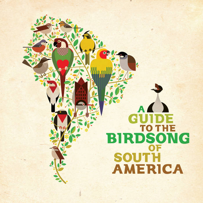 A Guide to the Birdsong of South America | Shika Shika A Guide to the Birdsong of South America | Shika Shika