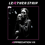 Æppreciation VII