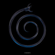 Forbidden Society — Lonely Road - Alternate Routes