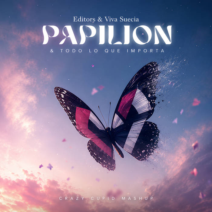 Editors & Viva Suecia - Papilion & Todo lo que Importa (Crazy Cupid Mashup)