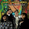 What You Need Cover Art