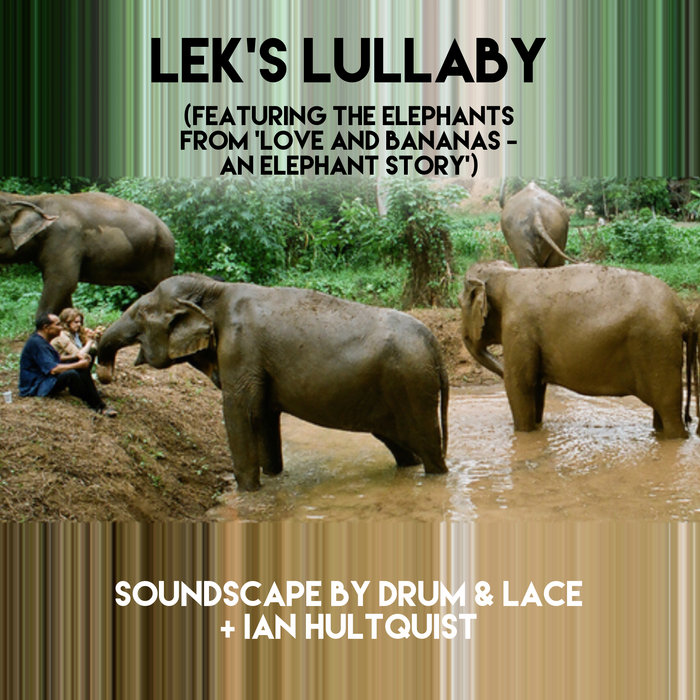 Lek's Lullaby Drum & Lace and Ian Hultquist Little Twig Records