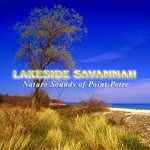 Grant Mackay - Savannah Dawn (Reprise)