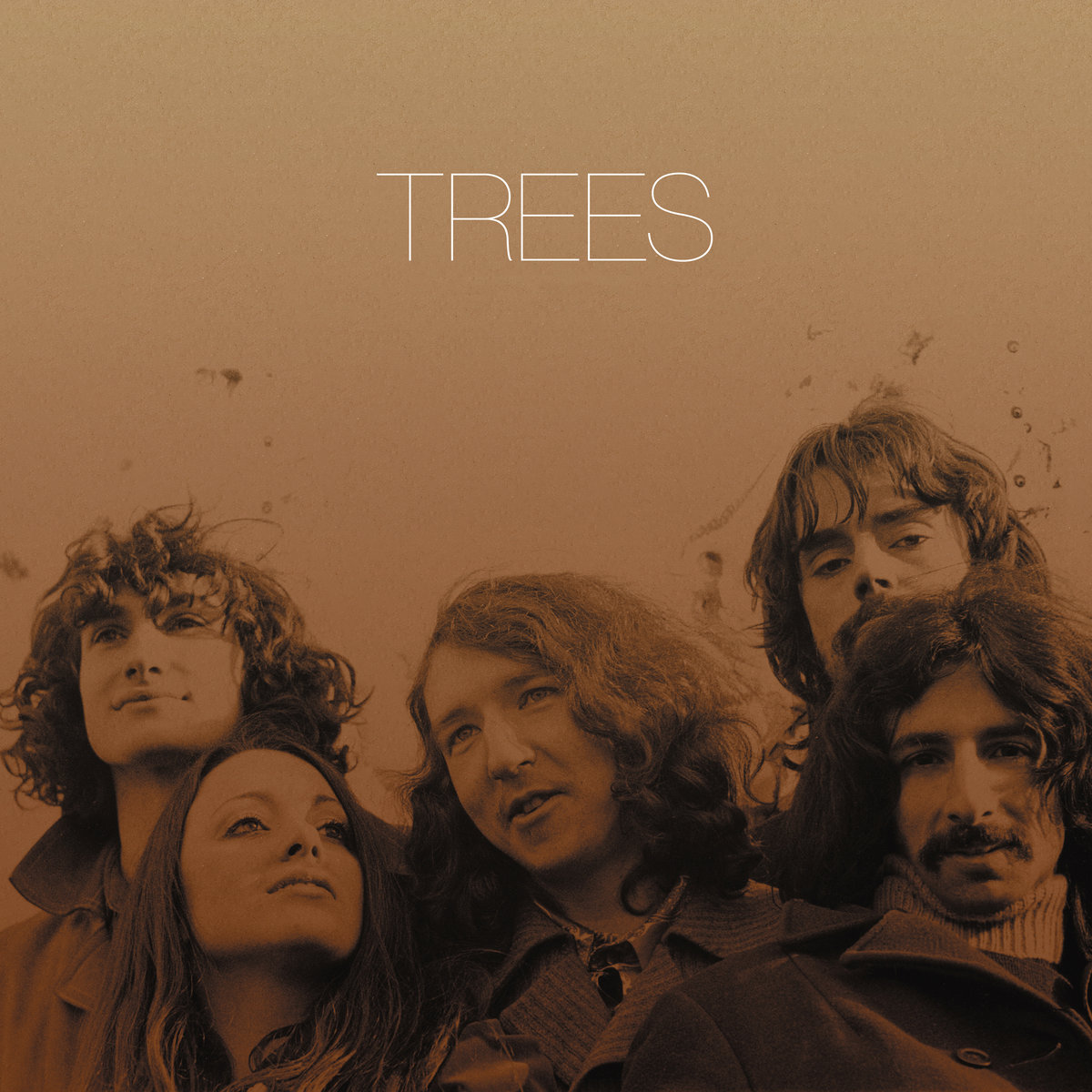 Fore & After | Trees