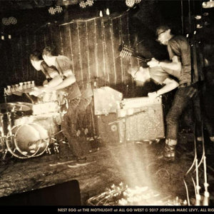 Nest Egg — Live