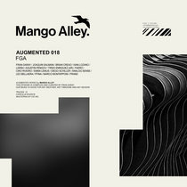 Various Artists — Augmented 018 / FGA