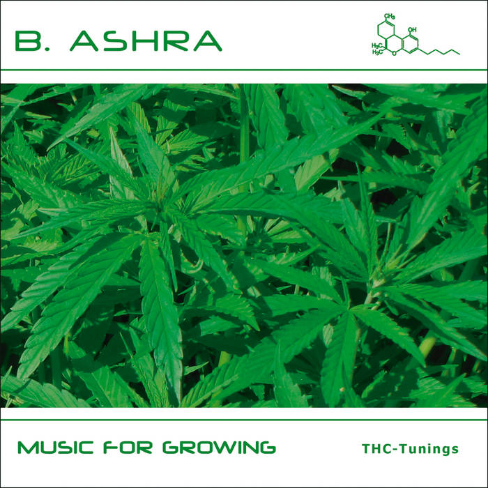 Music For Growing (KW010) | B. Ashra | Klangwirkstoff Records