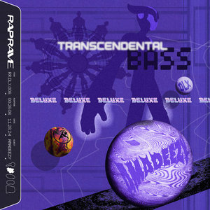 Amadeezy & RAPRAVE present Transcendental Bass: Deluxe Edition cover